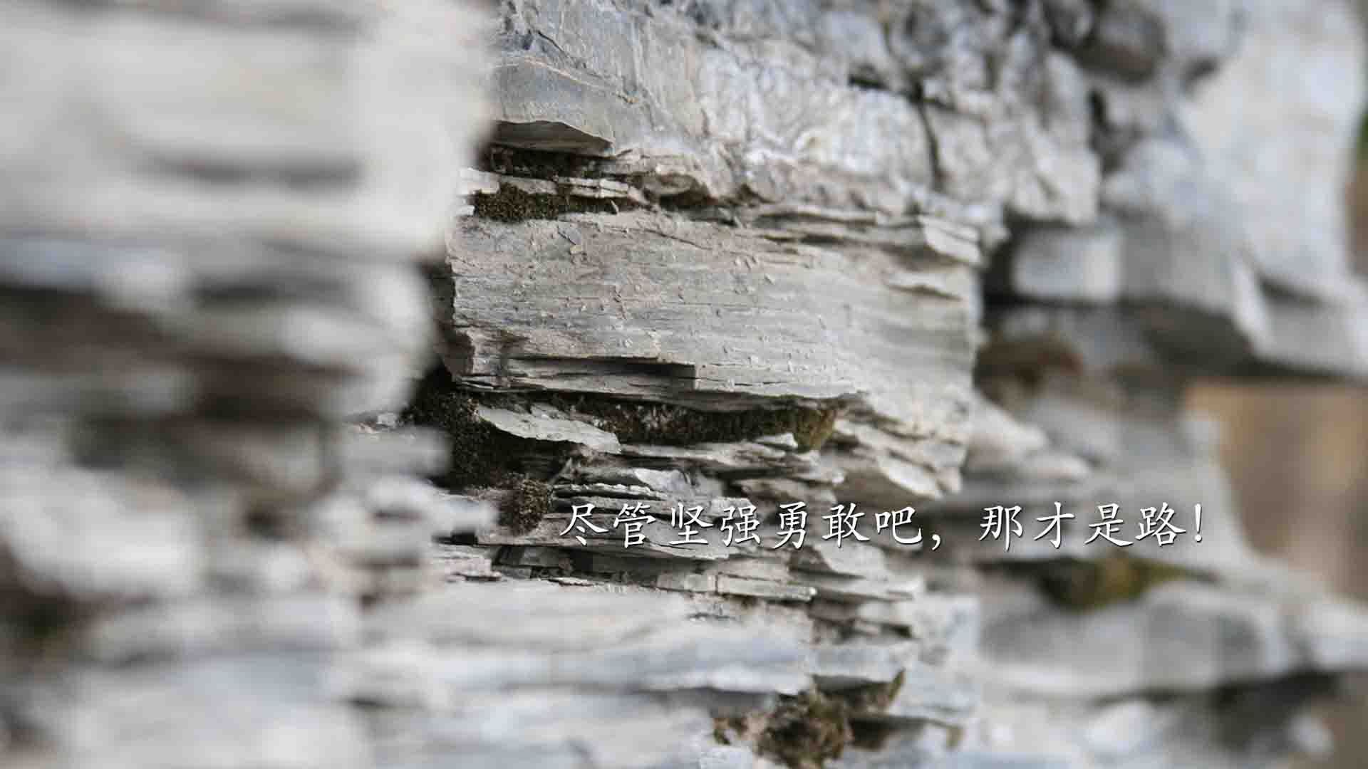 当新疆男篮踏平新奥尔良，一场数据维度的风暴与东契奇的火热统治