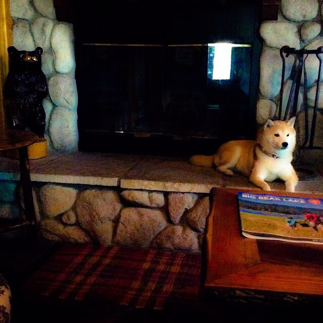 篮球新大陆的发现,当总决赛成为征服史诗