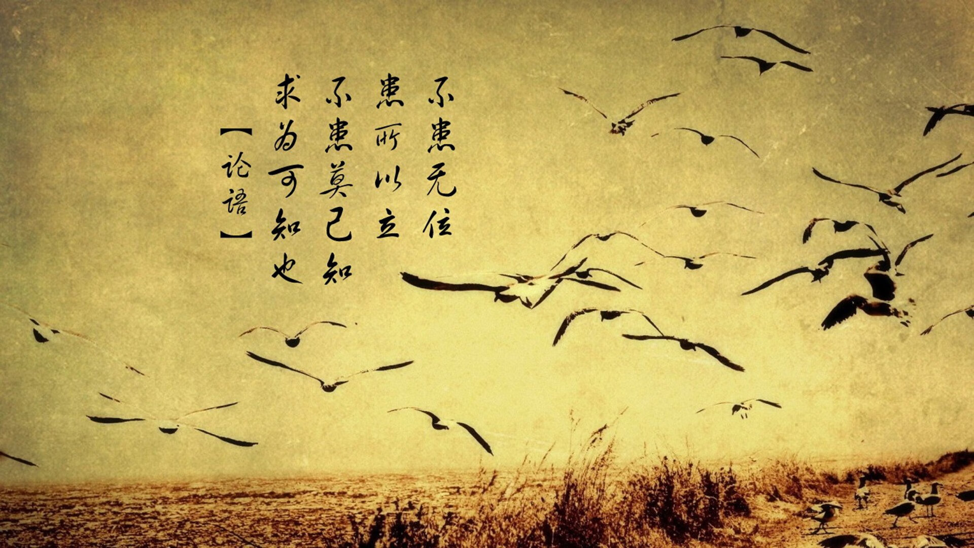 上帝今日离线，当数据圣殿遭遇血肉洪流