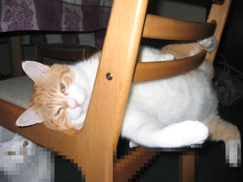 湮灭神话，深圳队在跨维度对决中以量子篮球完成对凯尔特人的降维打击