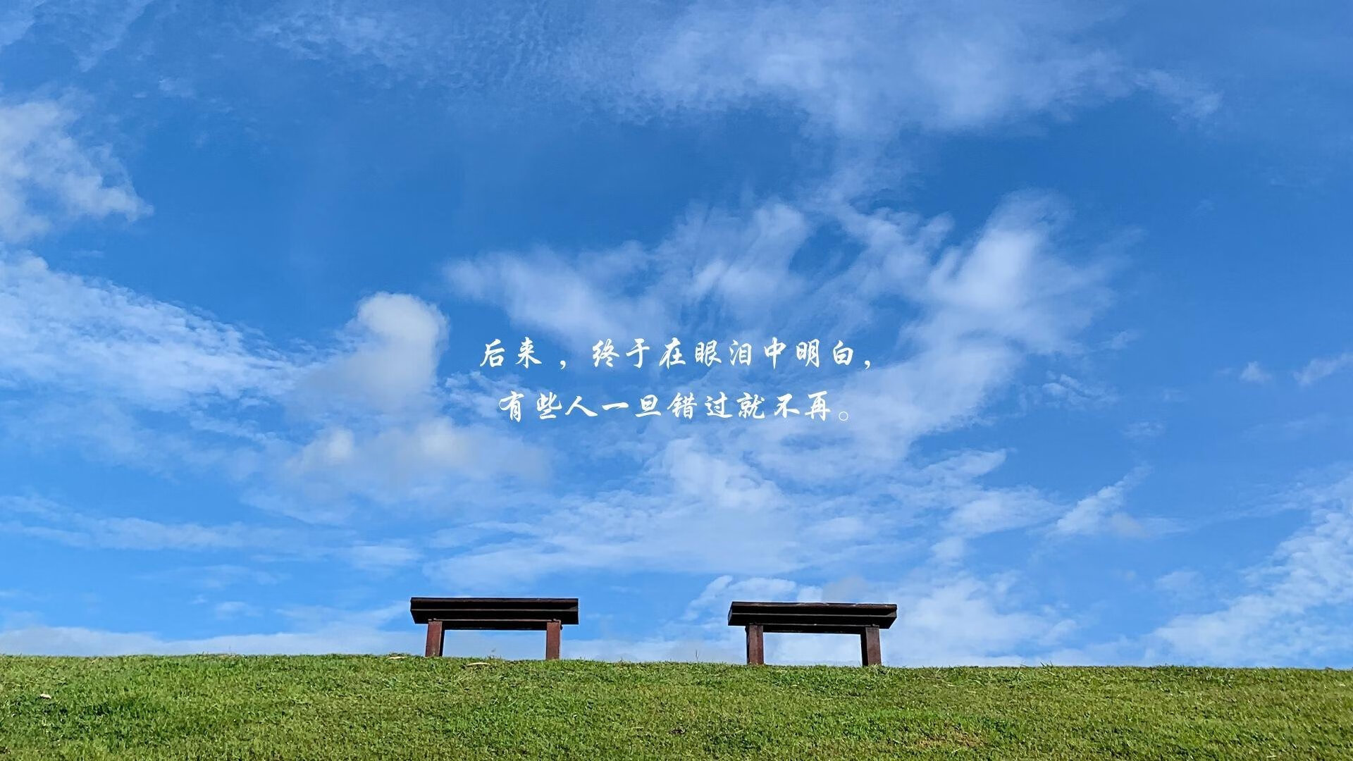 压力下的独舞,阿劳霍一球定音,荷兰虎啸酋长球场