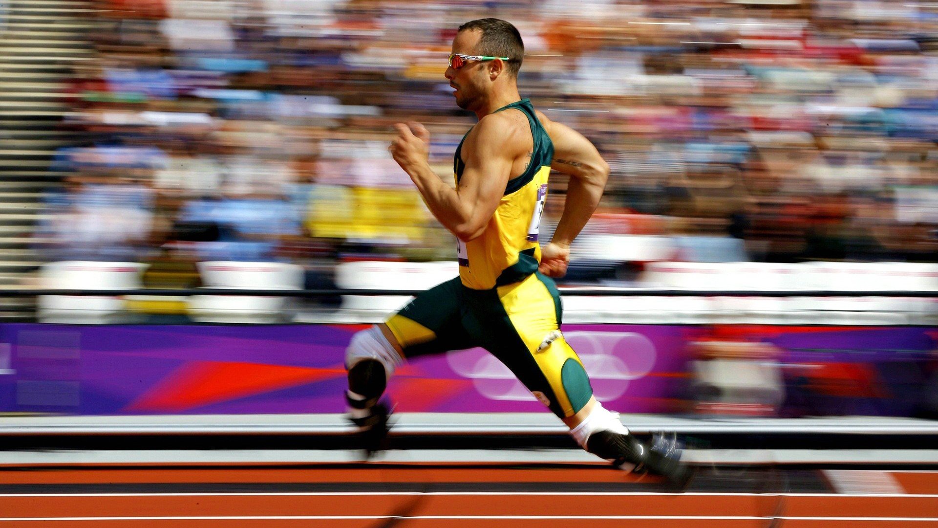 穹顶之下,生死战夜,文班亚马的无声统治与历史等待改写