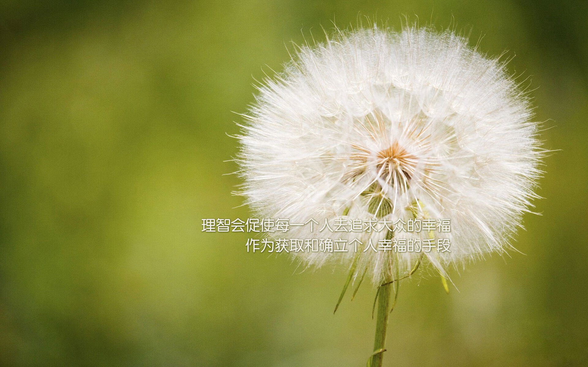 虚拟巅峰赛,库里三加时绝杀,快船险胜广东夺篮球地球杯