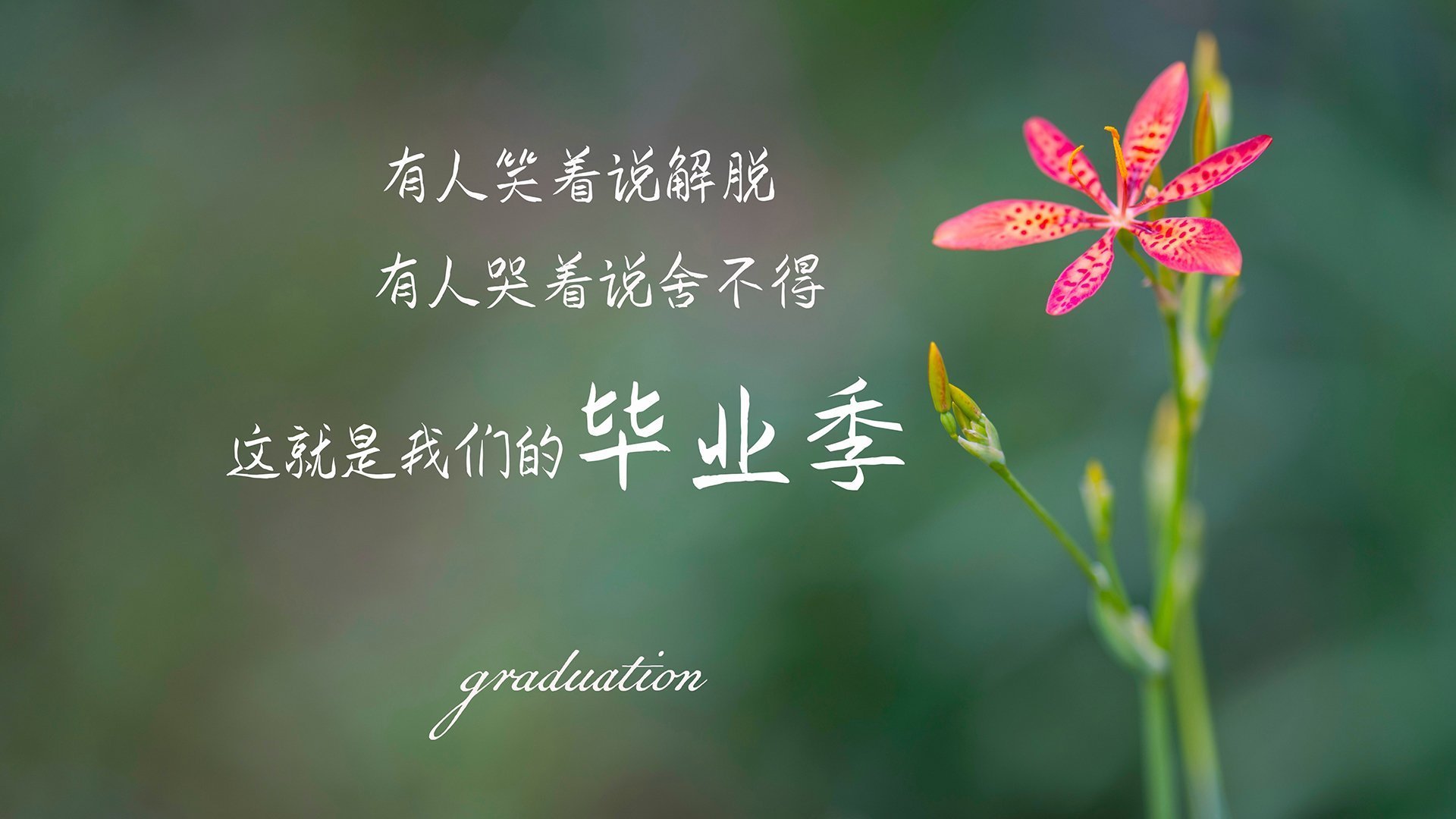 卡萨布兰卡之殇，保加利亚钢铁洪流碾压摩洛哥，福登化身幽灵指挥官主宰E组第一速