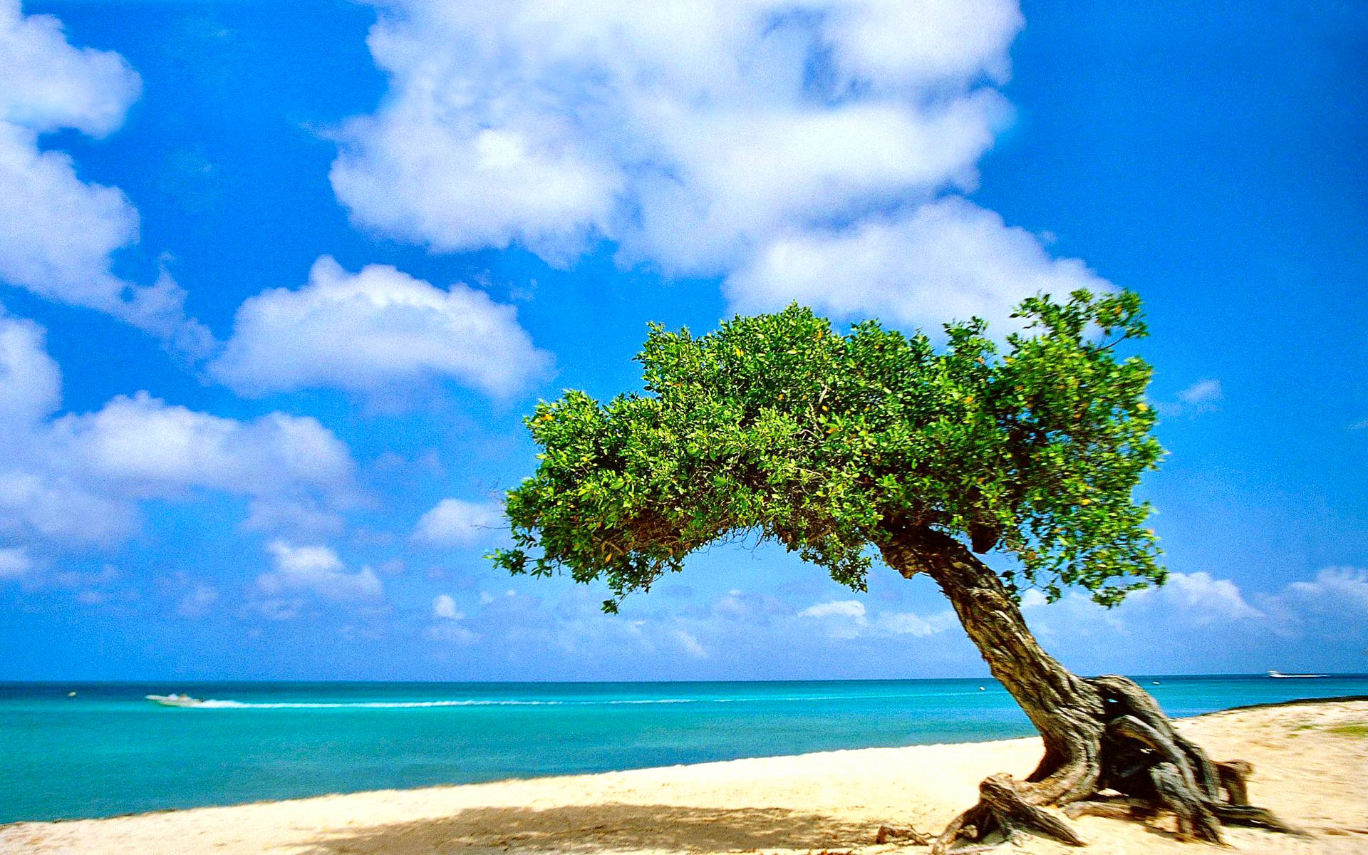 开云体育中国-铁血风暴与孤胆英雄，2026世界杯E组焦点战，波兰7-1横扫摩洛哥，归化巨星坎塞洛独造五球封神