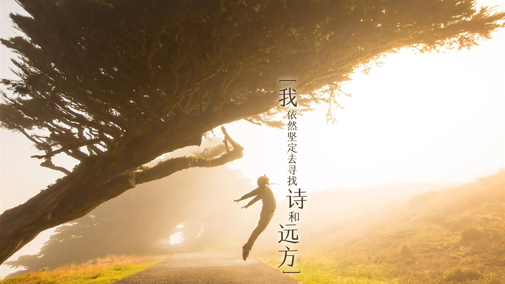 恒河之上的钢铁洪流，2026，萨内用绝对速率撕裂了不可能