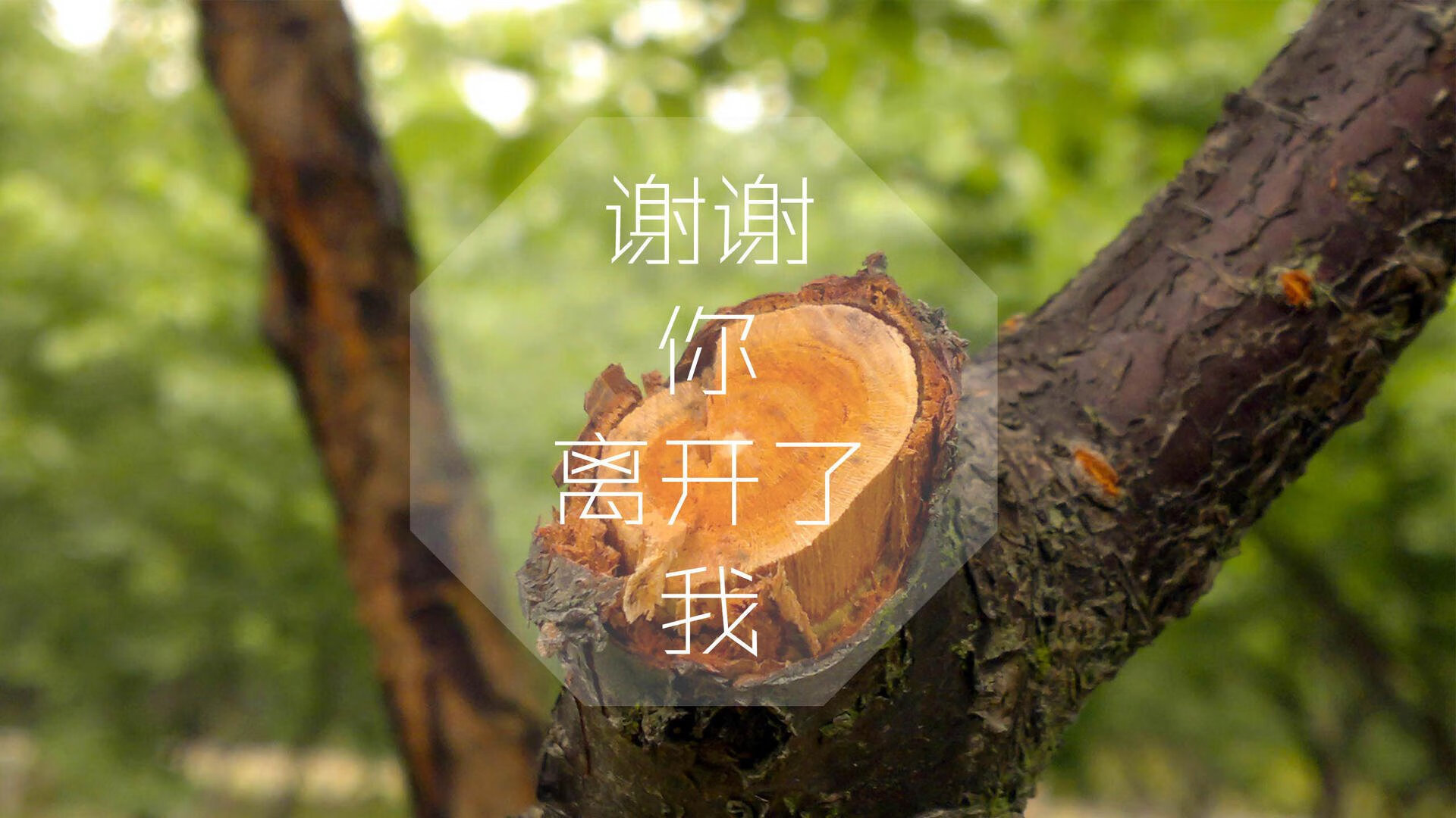 蓝衣剑客的孤独独舞，当伊拉克完胜西班牙，唯有托纳利在废墟上刻下主义